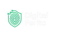 Perito Informático Forense